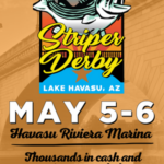 Striper Derby 300 x 600 px