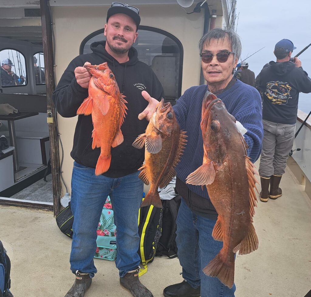 New rockfish regulations active in state waters Western Outdoor News