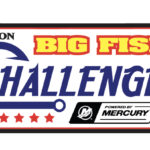 BFC logo 2024