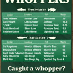 Whoppers-story-5-10-24