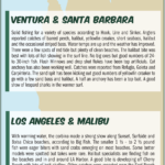 Surf Report 7-19-24