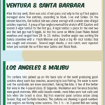 Surf Report 8-16-24
