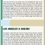 Surf Report 8-30-24