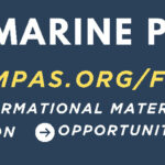 WON 2024 1068×192 web banner