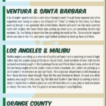 Surf Report 9-13-24