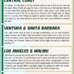 Surf Report 10-11-24