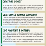 Surf Report 10-25-24