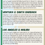 Surf Report 11-22-24