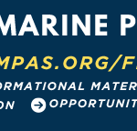 WON 2024 1068×192 web banner_November_