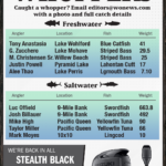 Whoppers story 11-08-24