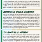 Surf Report 12-20-24