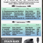 Whoppers story 12-20-24