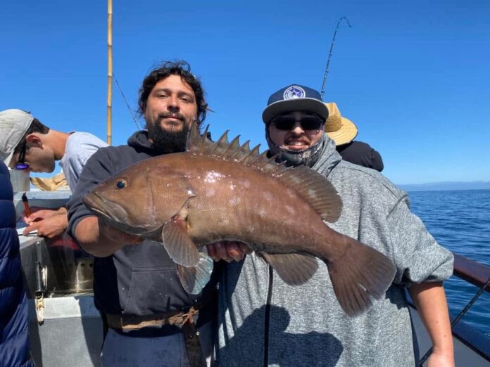 South Saltwater Fishing Report | Western Outdoor News