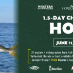 Horizon Homepage masthead banner