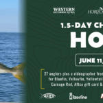 Horizon Homepage masthead banner