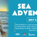 Sea Adventure 80 Homepage masthead banner