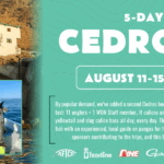 Cedros Homepage masthead banner