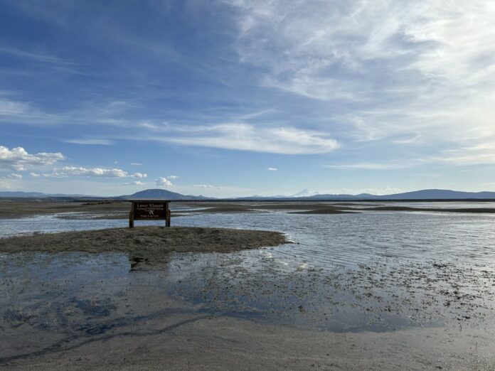 WETLANDS AT THE LOWER KLAMATH