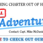 Sea Adventure 80 1068 x 192 7-18-25