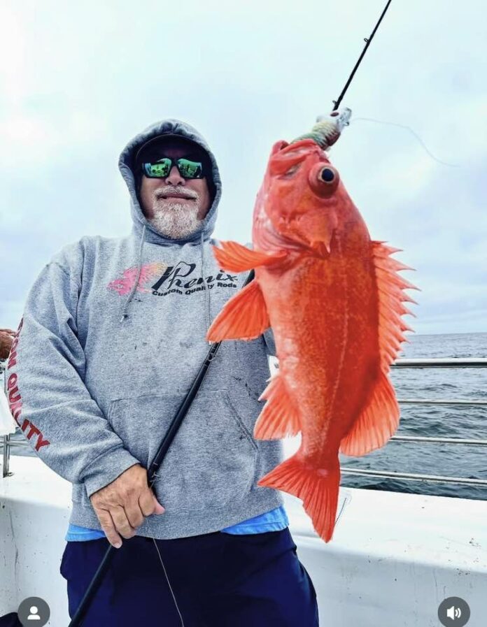 Vince Borges Farallon vermilion