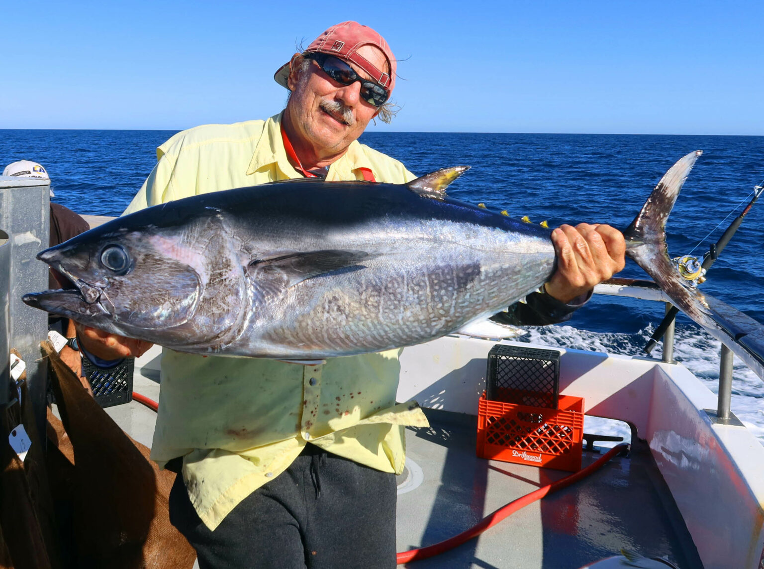 Toronado Sportfishing