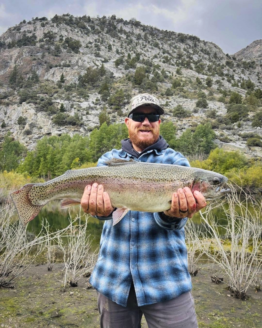 Eastern Sierra trout move into fall-frenzy mode | Western Outdoor News