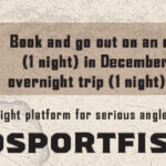 Toronado 1068 x 192 11-7-25