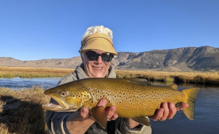 UPPER OWENS BROWN (1 of 1)