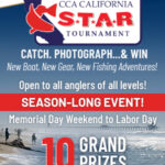 300x600px_CCA STAR 2026-Web Banner