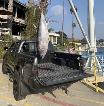 JD_Oct9_2020_Tuna_offload