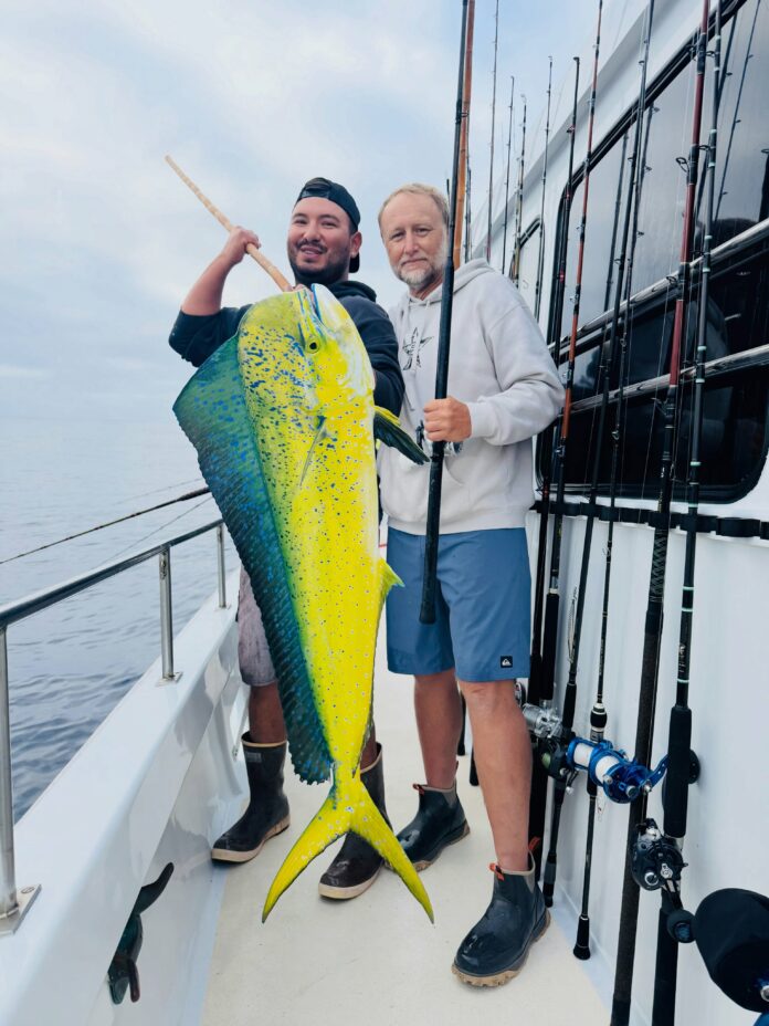 ALOHA MAHI Aloha Spirit, CISCOS
