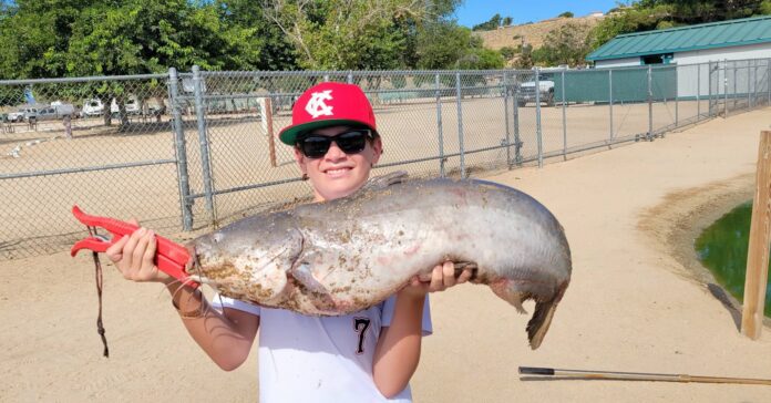 THIS 50-pound-class