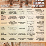 Waterfowl season overview