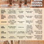 Waterfowl season overview